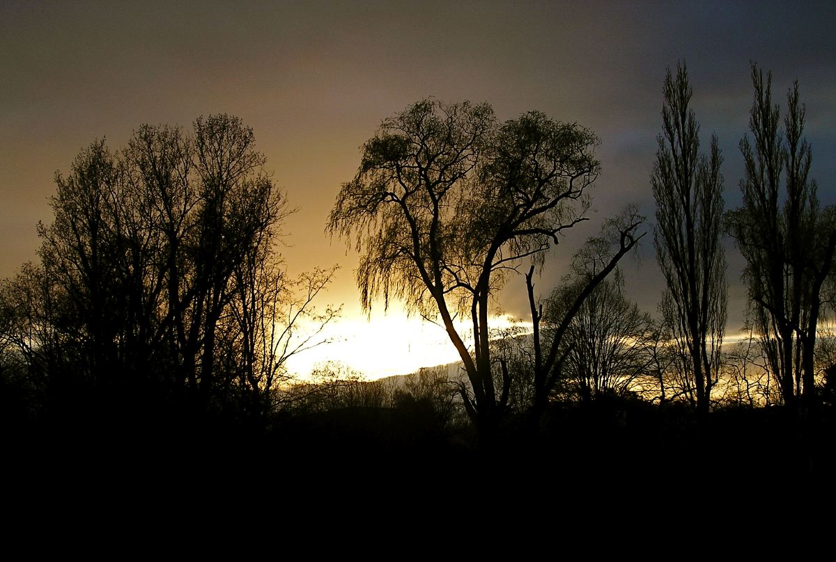 Abend2.jpg