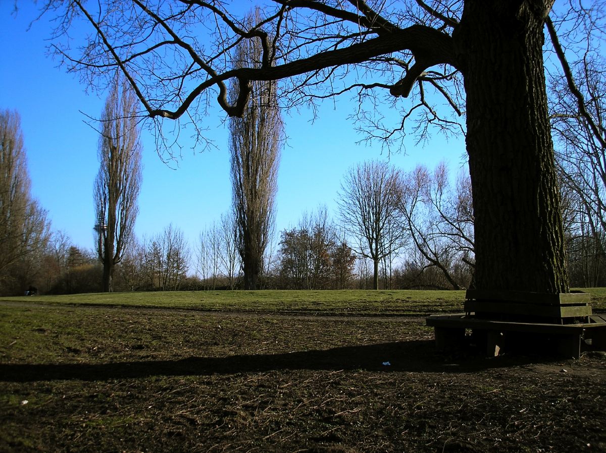 P2151457.jpg