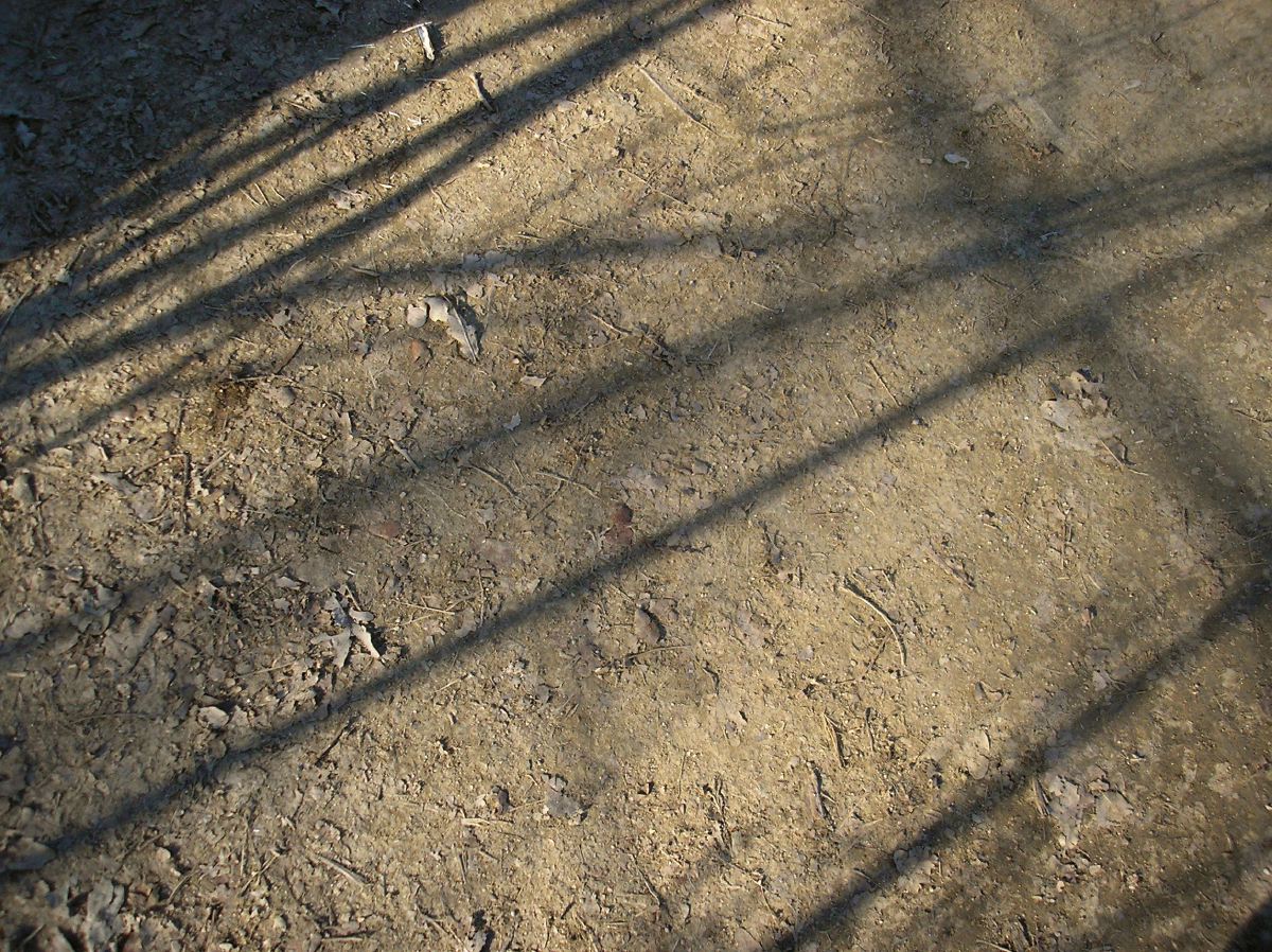 P2181496.JPG