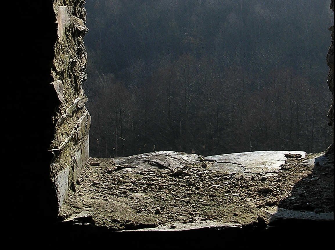 bild_1.png