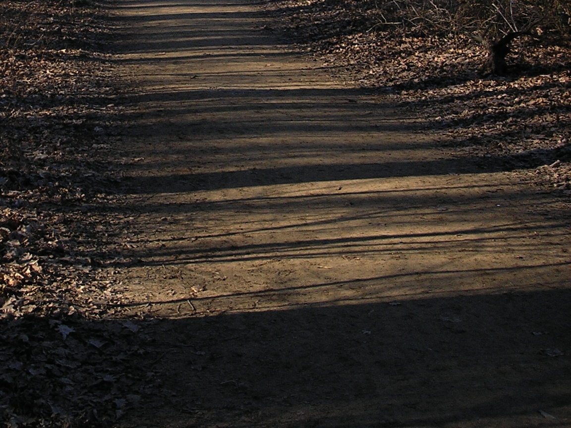 licht_und_schatten.png