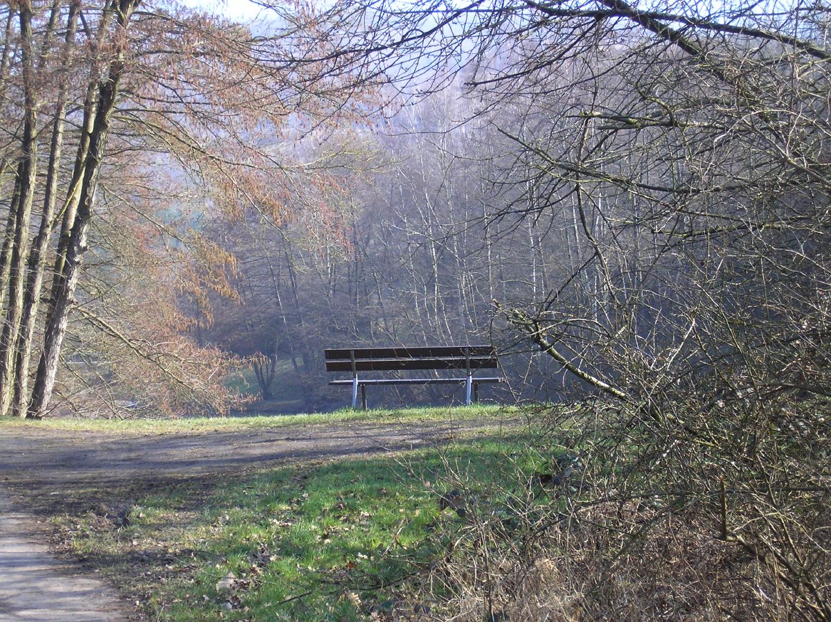 p2241546.jpg
