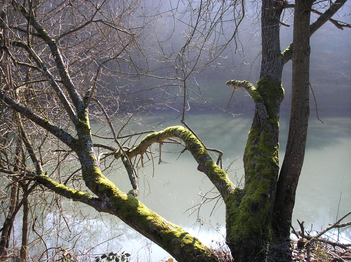 p2241552.jpg
