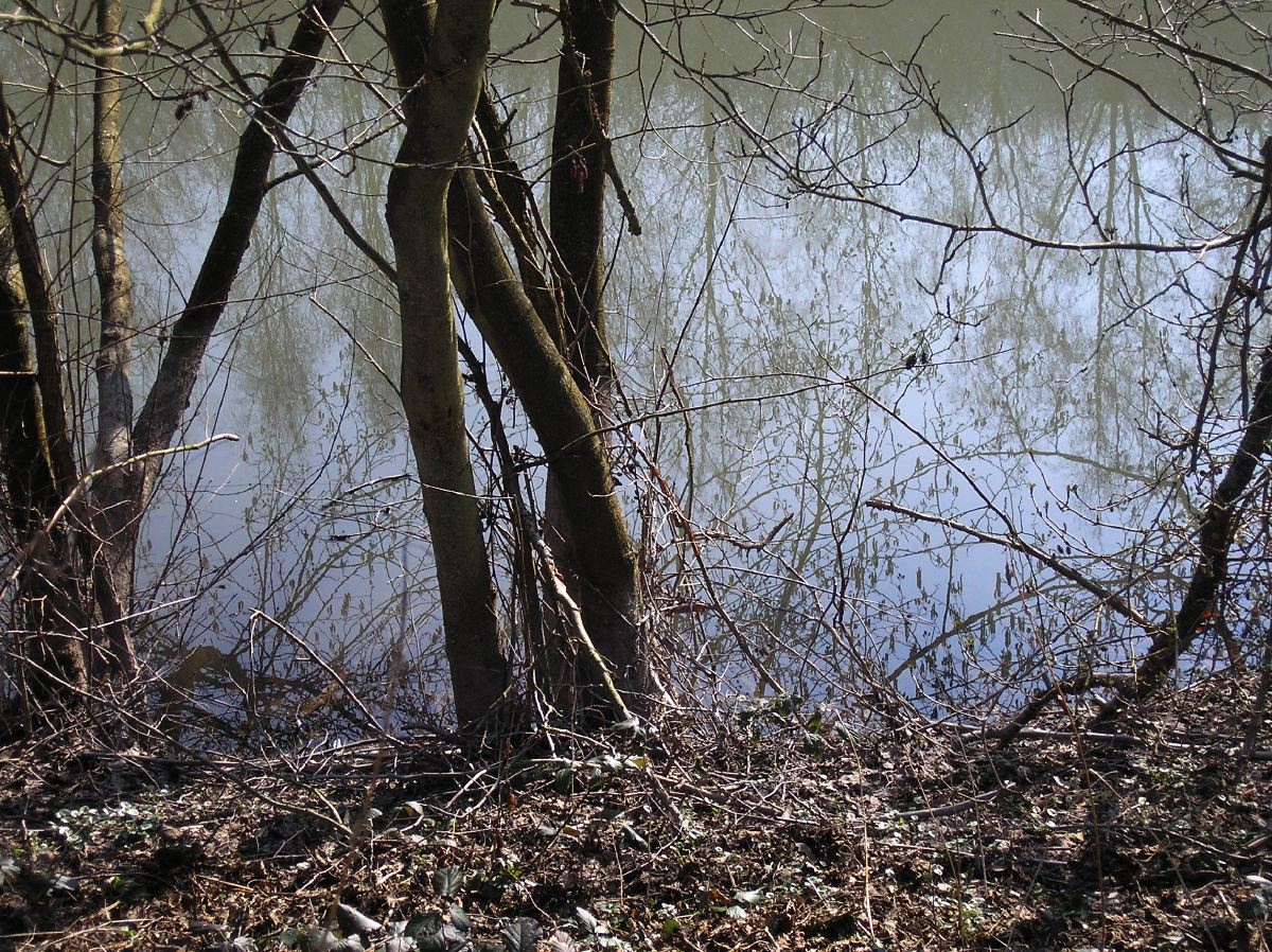 p2241575.jpg