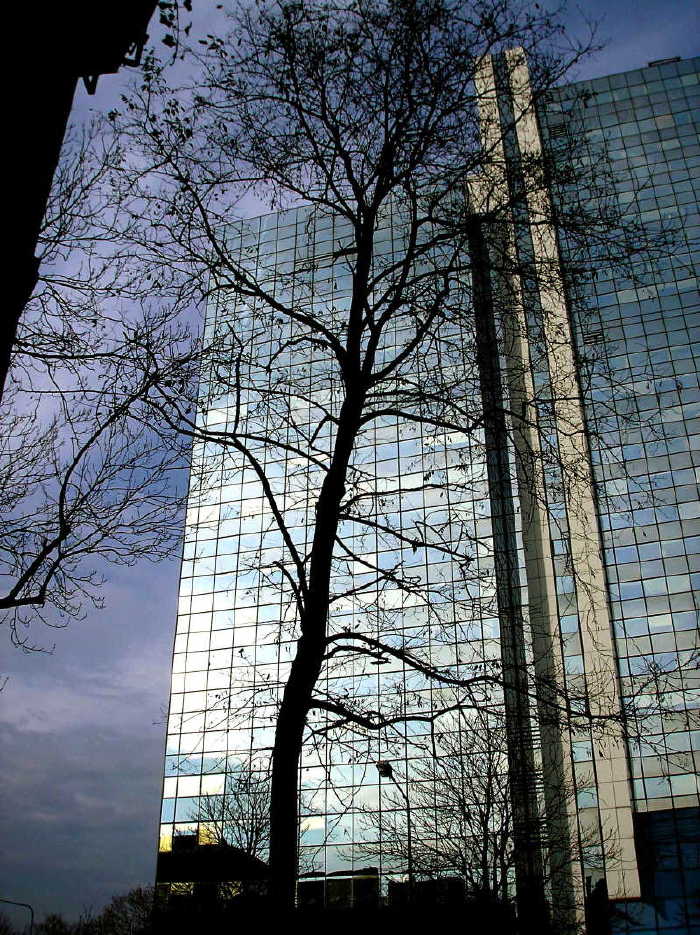pb201126.jpg