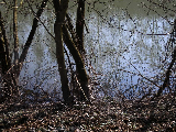p2241575.jpg