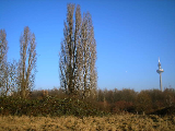 pc191225.jpg