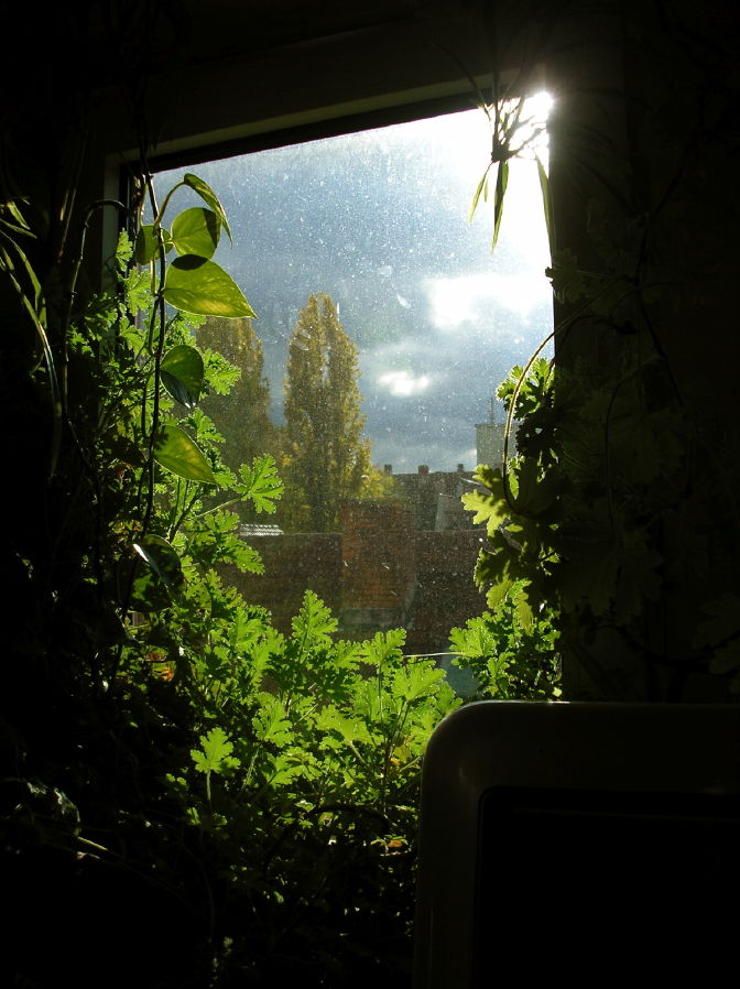 dasbild.jpg