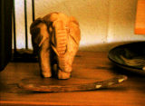 elefant.jpg