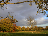 herbst.jpg
