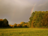 herbst2.jpg