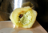 malus.jpg