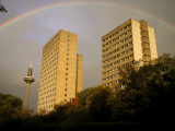 pa181020.jpg