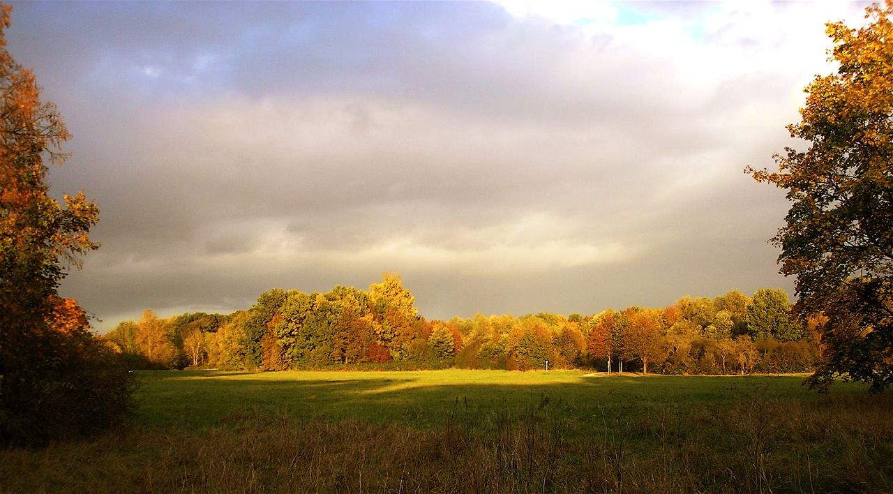 pa181000.jpg