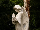 Friedhof_16