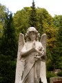 Friedhof_17