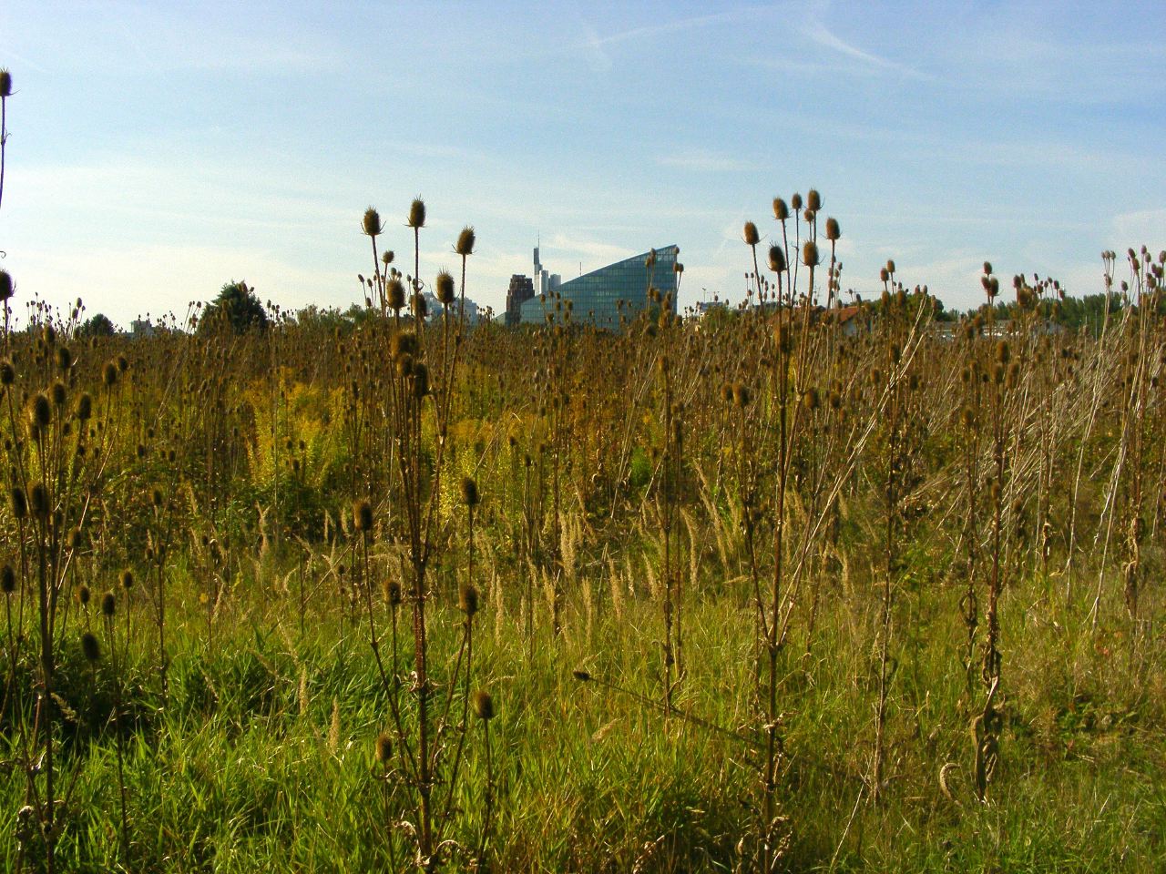 DSCF1527.jpg