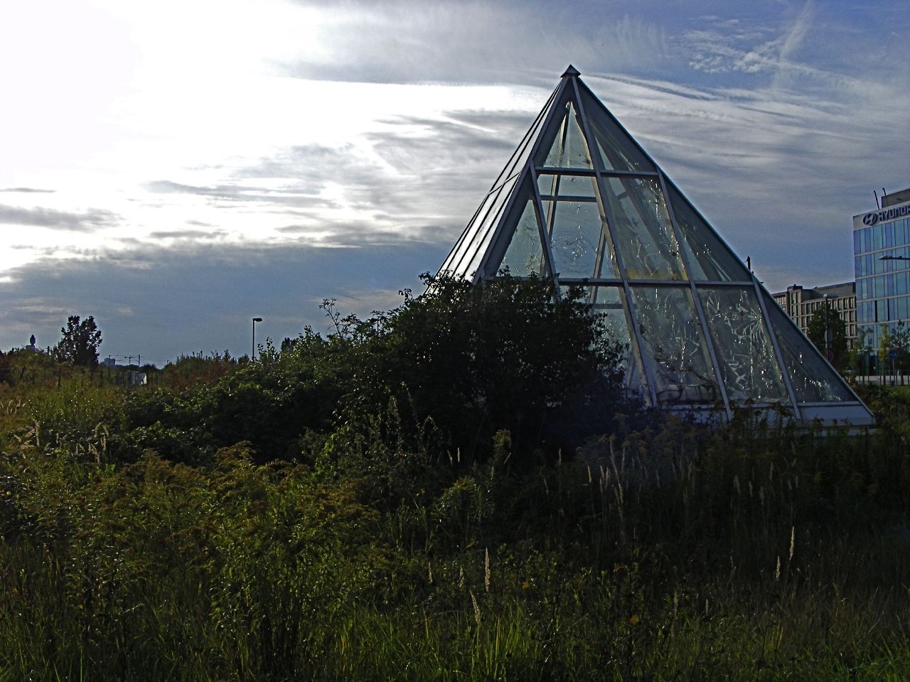 DSCF1567.jpg