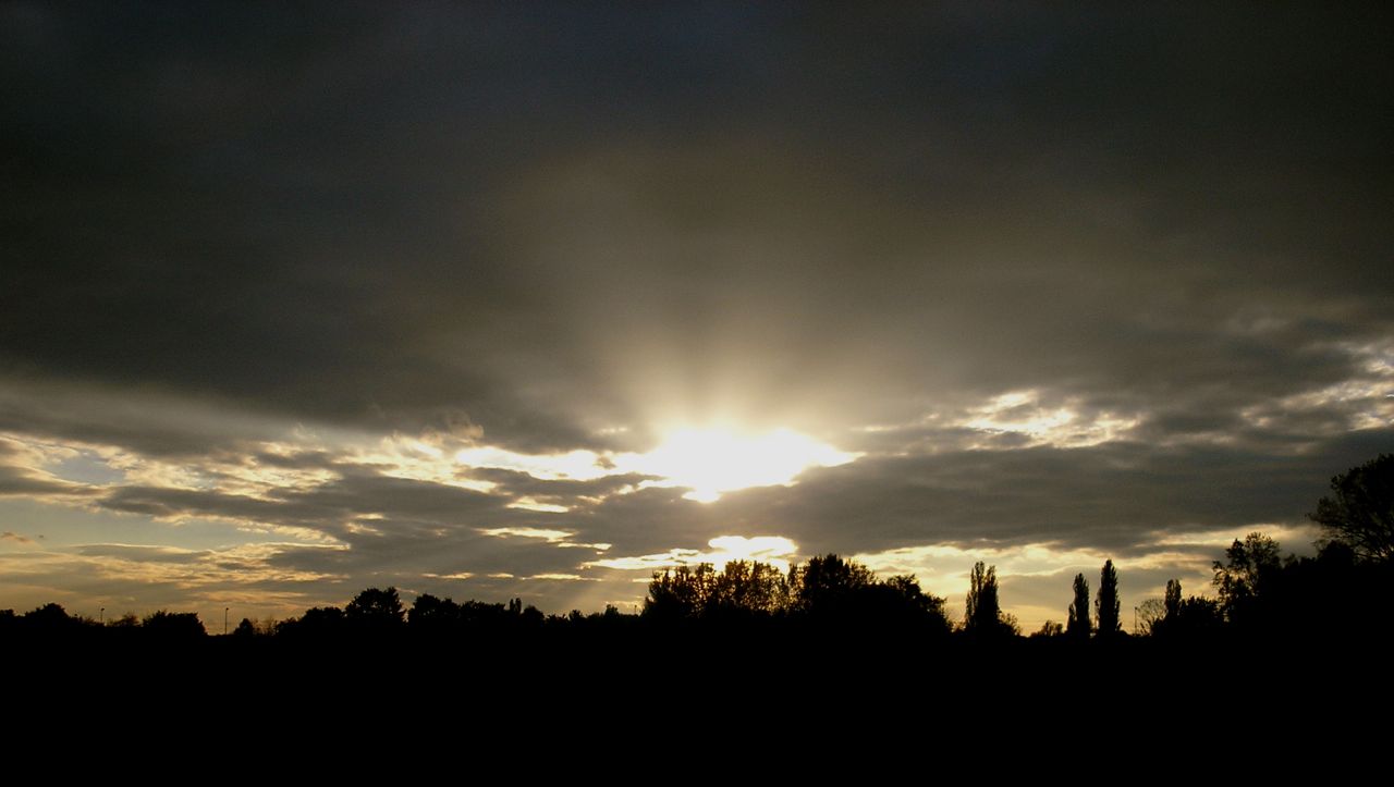 pa273633.jpg