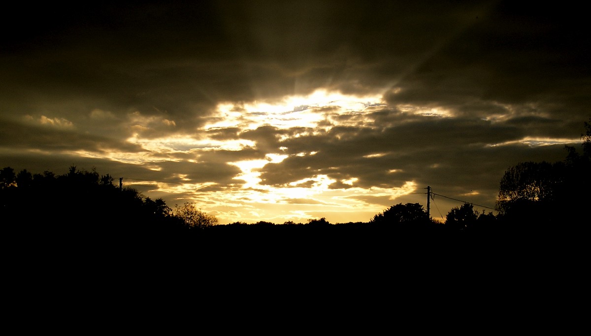 pa273635.jpg