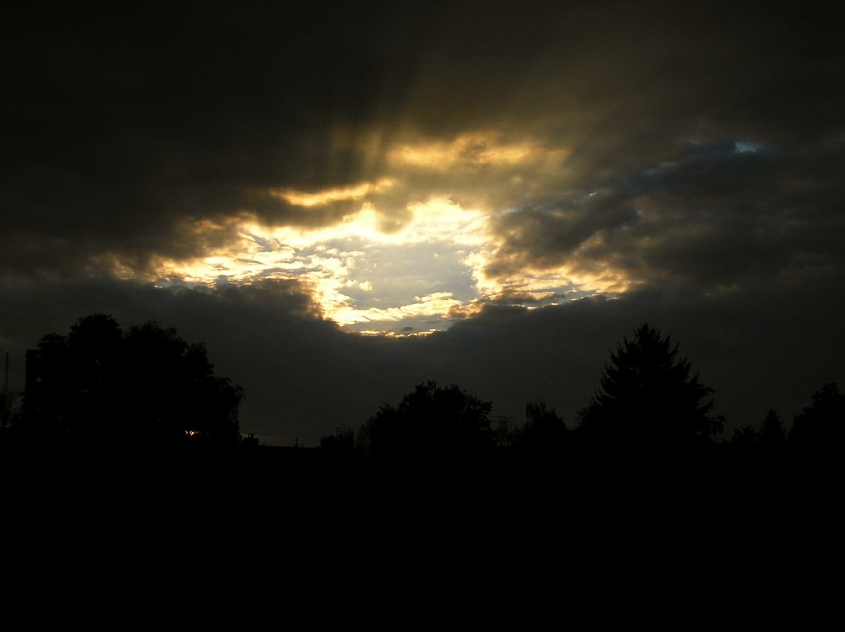 pa273638.jpg