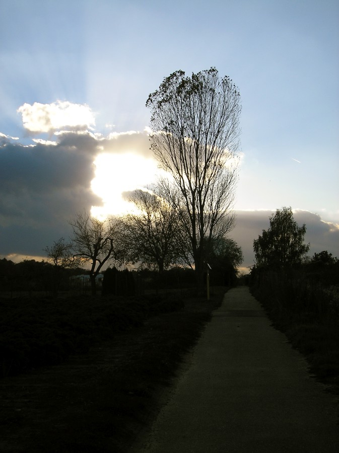 pa293712.jpg