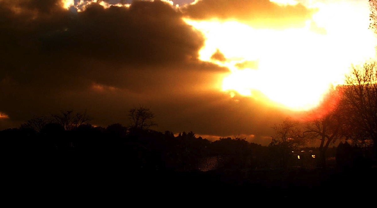 pa293715.jpg
