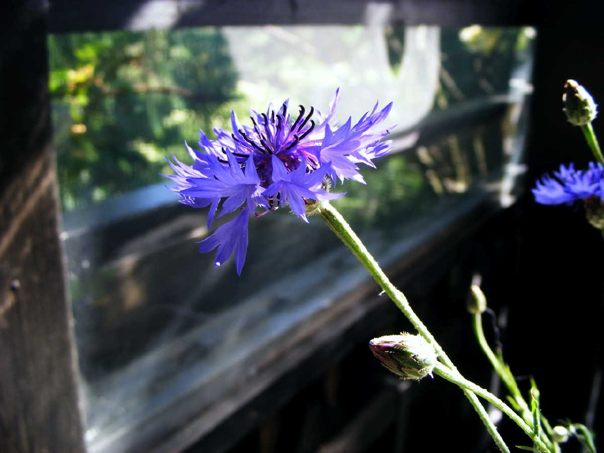 dscf9401.jpg
