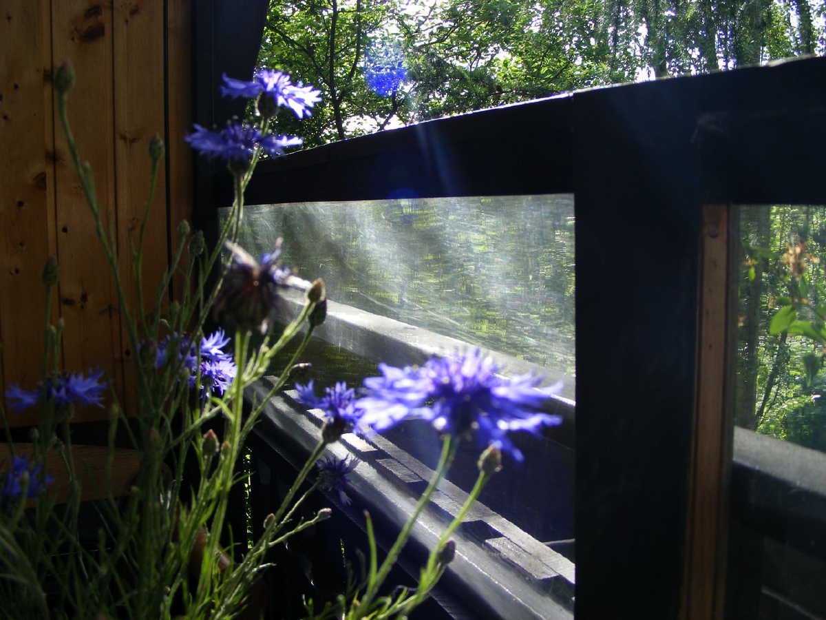 dscf9453.jpg