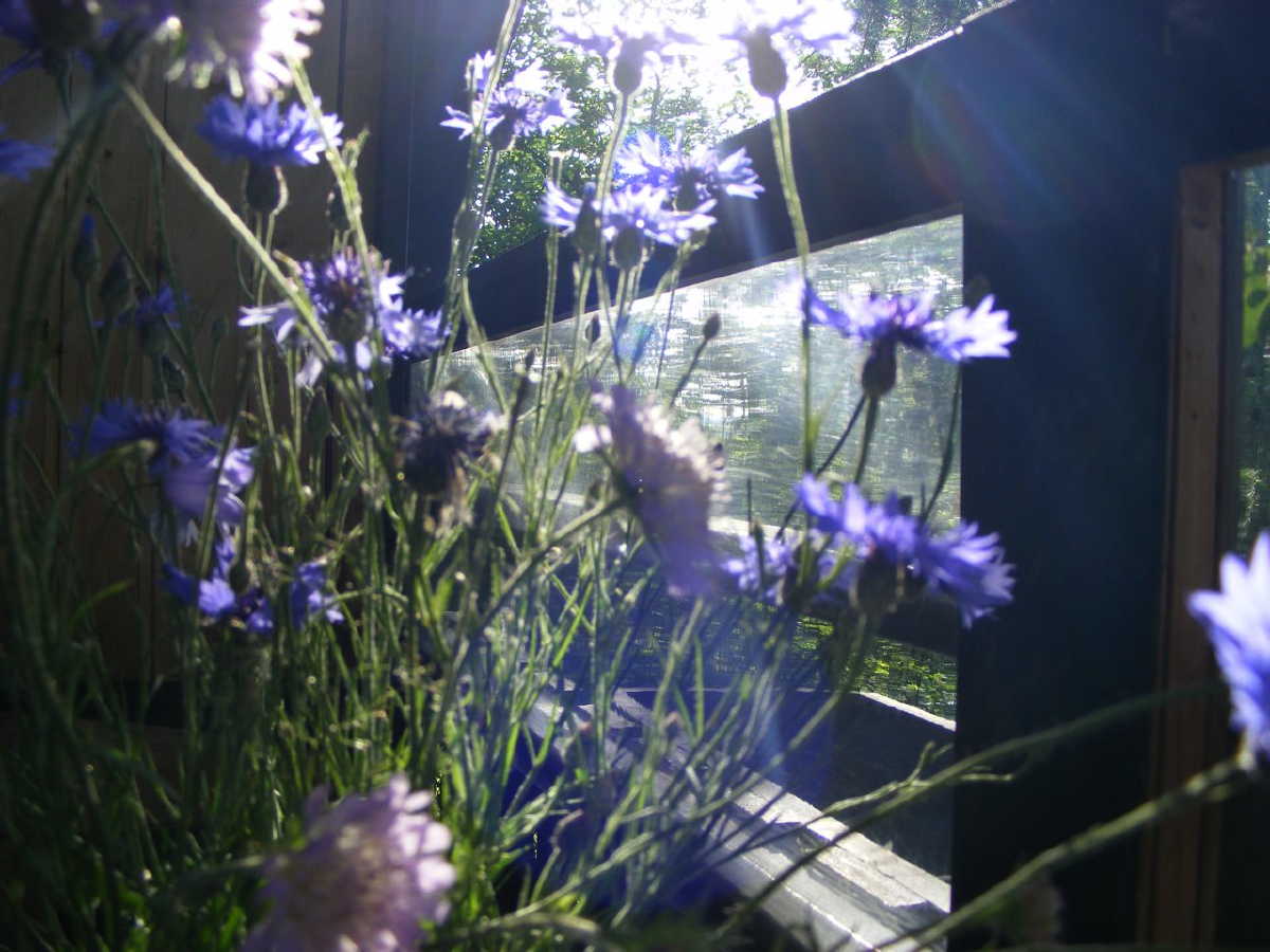dscf9518.jpg