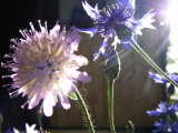 dscf9524