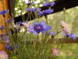 dscf9559