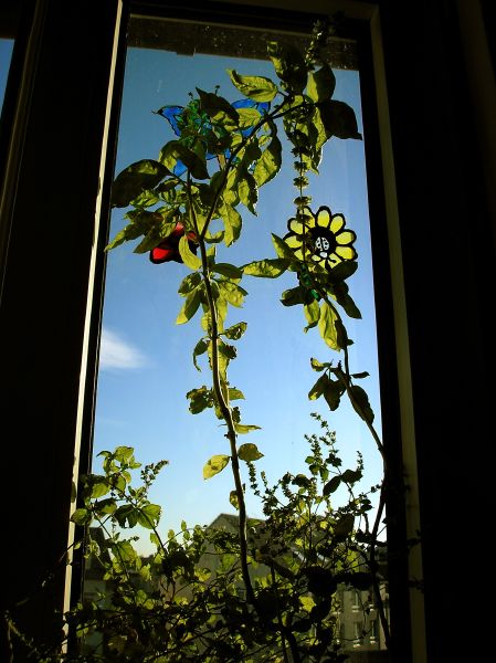 P9043444.jpg