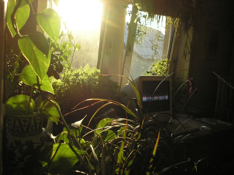 PA013503.jpg