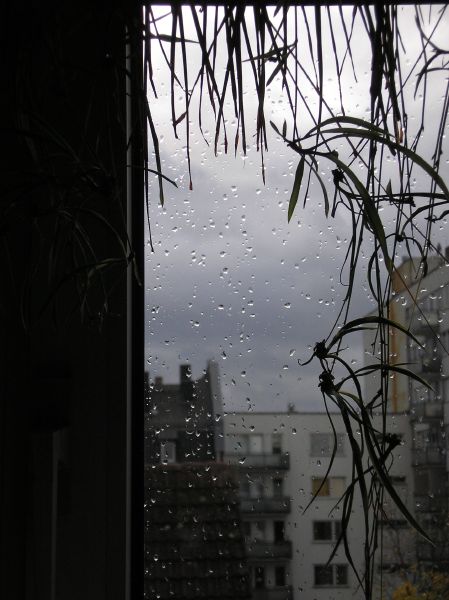 PA243594.jpg