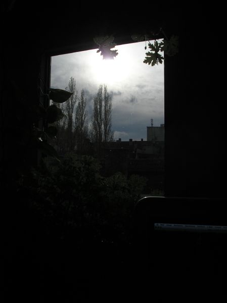 PB173862.jpg