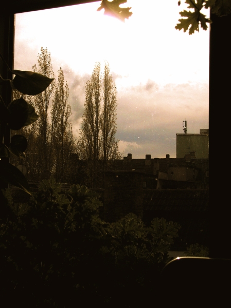 PB173863.jpg