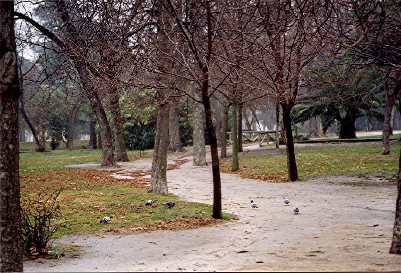 conocen%3F2.jpg