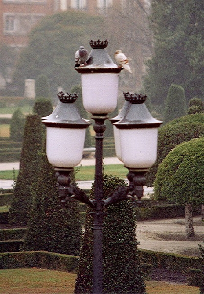 conocen%3F3.jpg