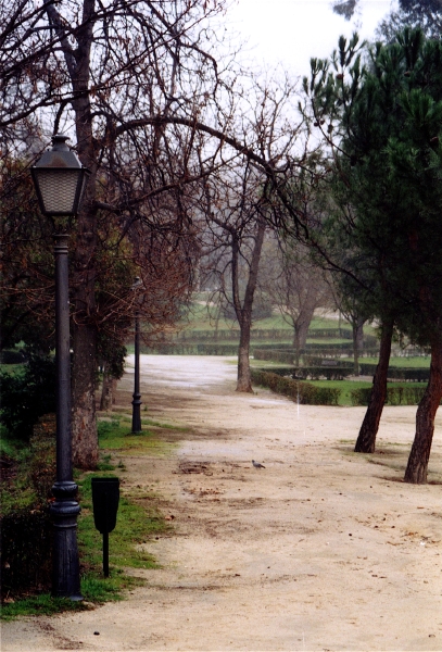 park.jpg