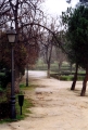park