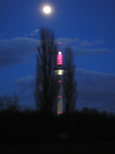 p3024273.jpg