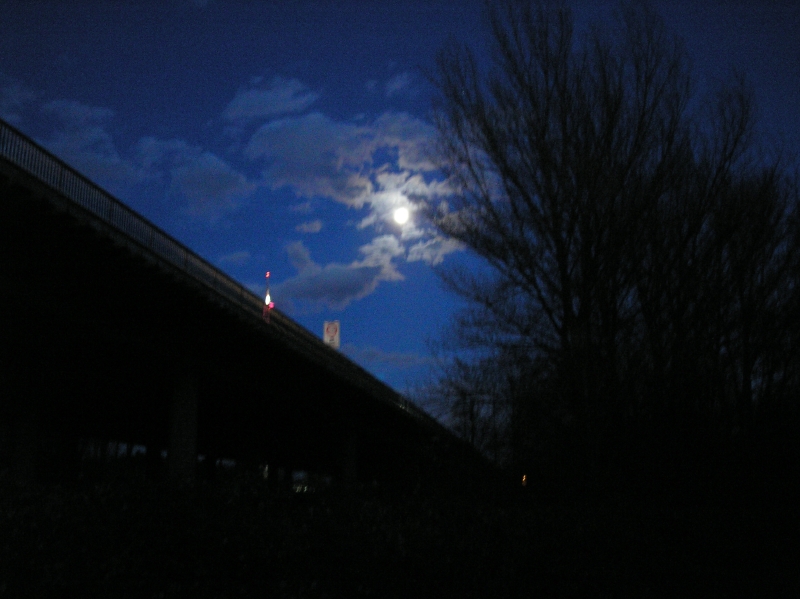 p3024280.jpg