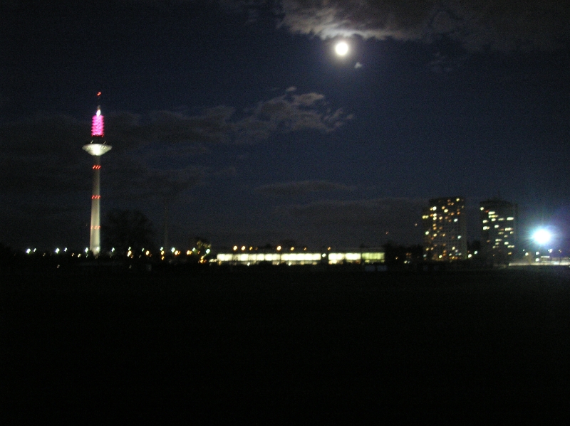p3024285.jpg