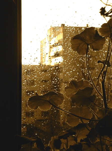01.01.07__16_09.jpg