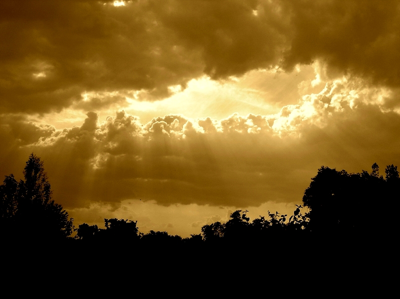 05.05.07__16_45.jpg