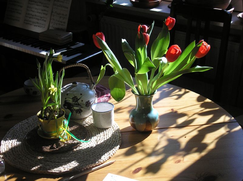 Tulpen.jpg