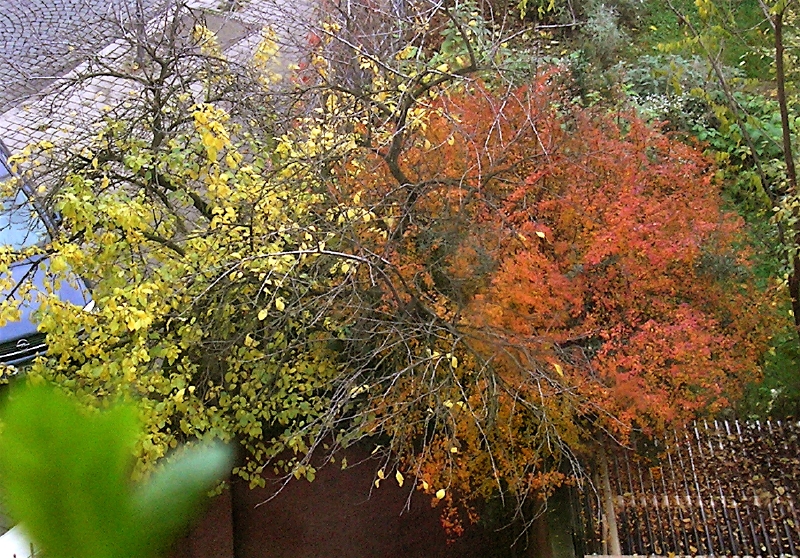 PB173861.JPG