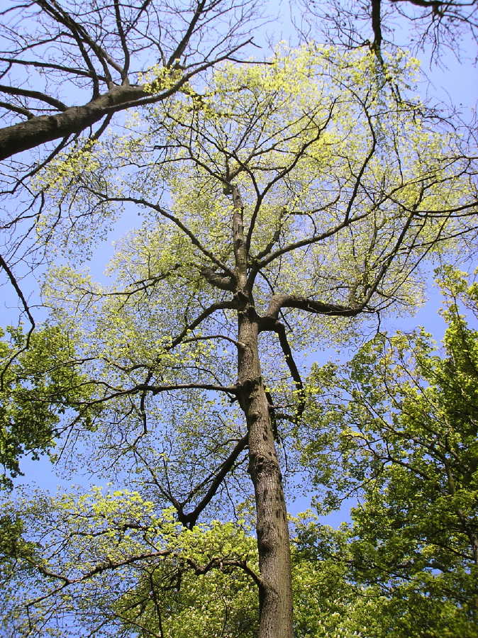 p3074392.jpg