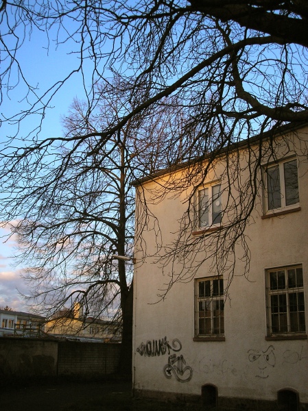 p3024223.jpg